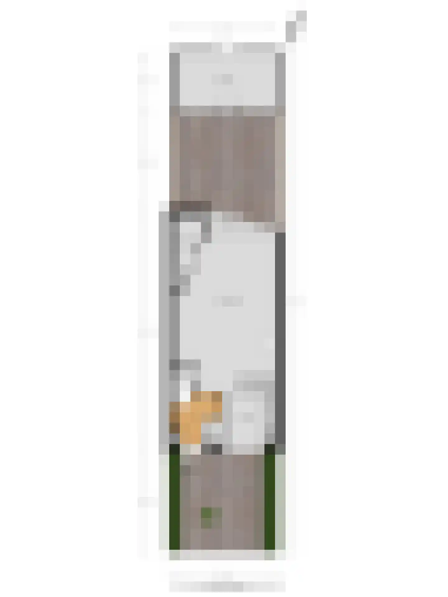 Theo Bosmanlaan 20 Hoogmade thumbnail 29