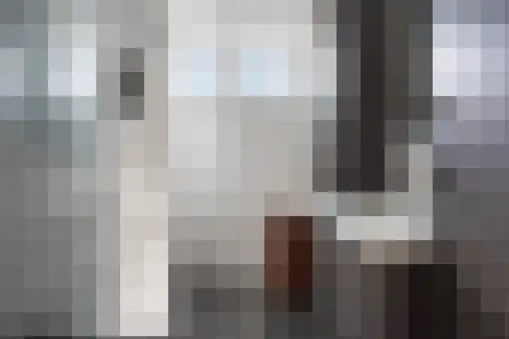 Theo Bosmanlaan 40 Hoogmade thumbnail 11