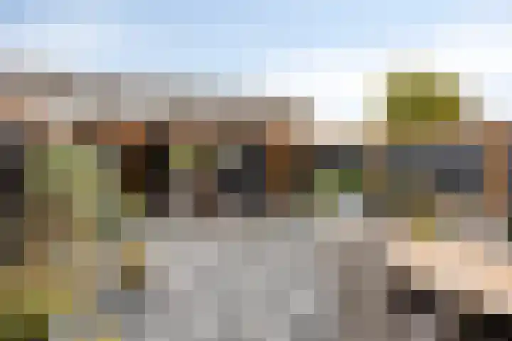 Theo Bosmanlaan 40 Hoogmade thumbnail 16