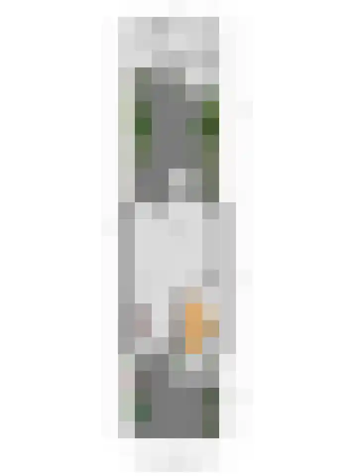 Theo Bosmanlaan 40 Hoogmade thumbnail 21