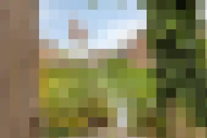 Theo Bosmanlaan 53 Hoogmade thumbnail 30