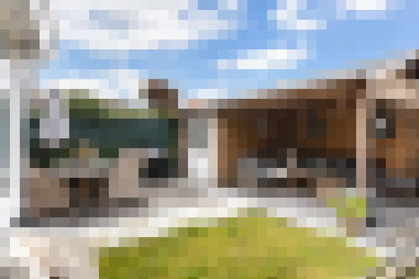 Theo Dobbehof 44 Soest thumbnail 24