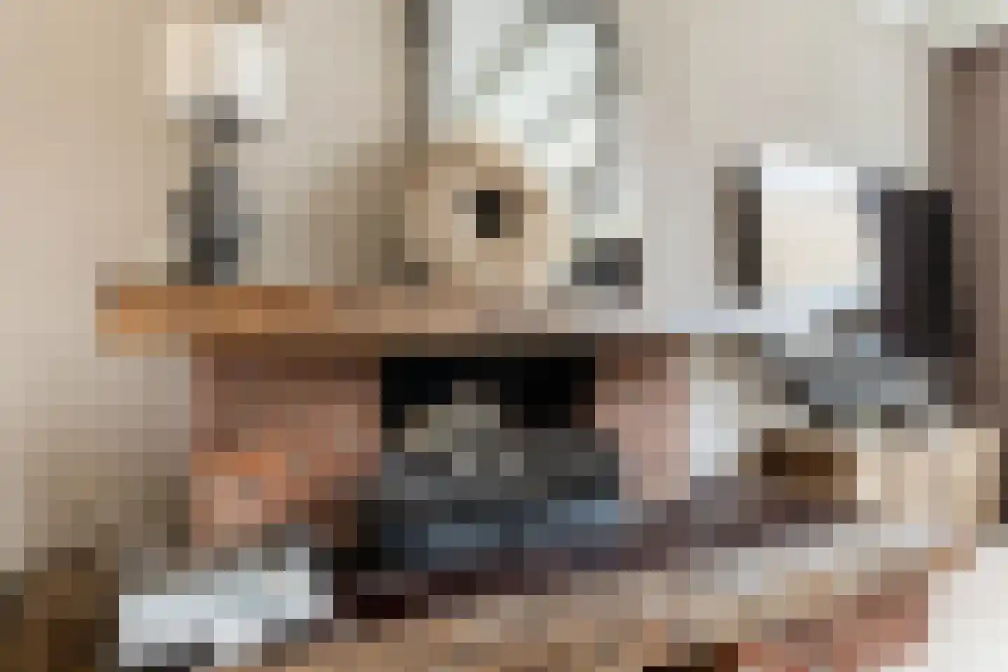 Theo Dobbehof 44 Soest thumbnail 6