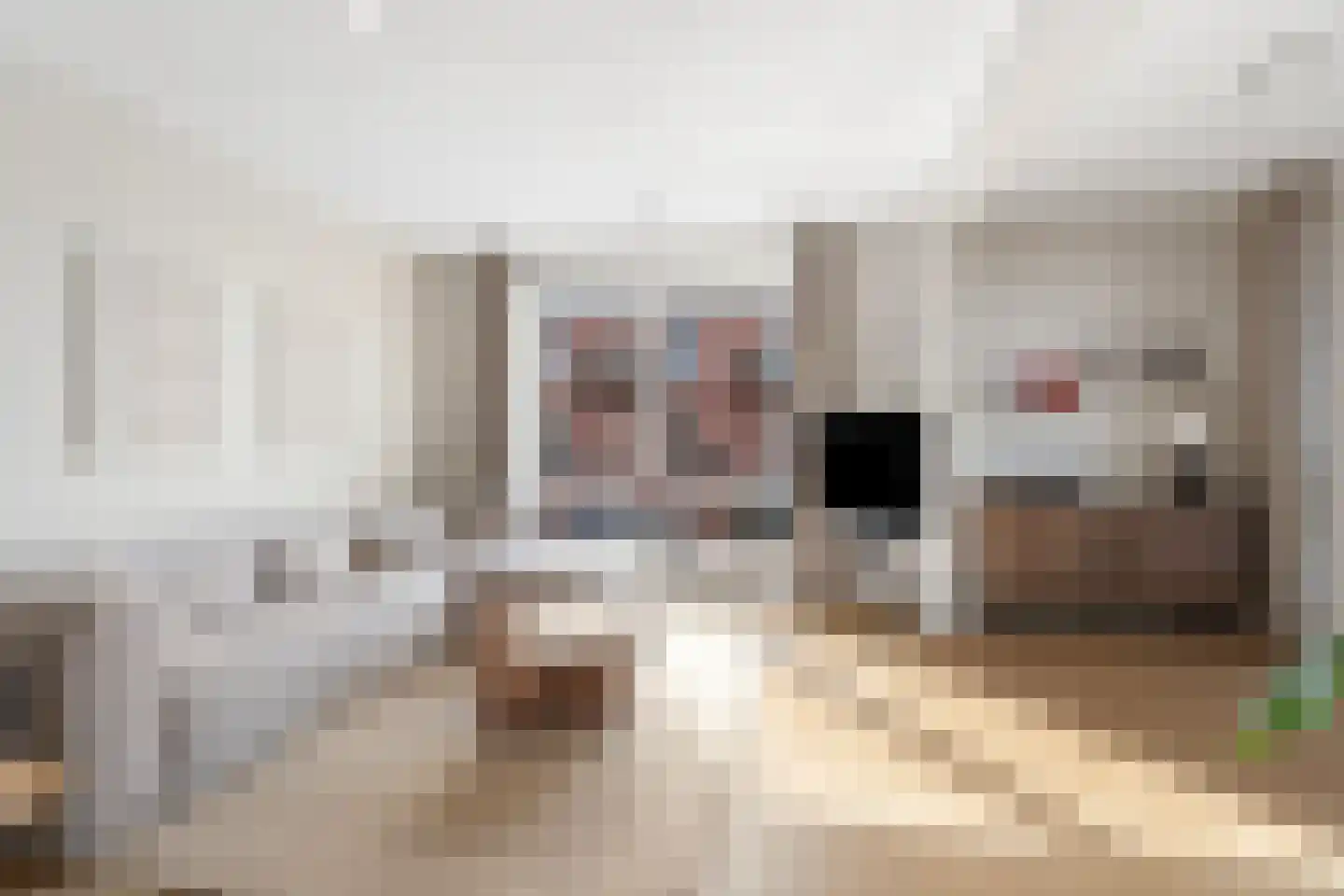 Theo Dobbestraat 15 Lent thumbnail 10