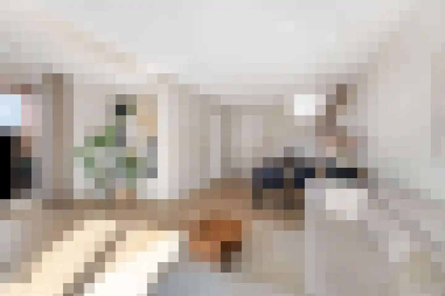 Theo Dobbestraat 15 Lent thumbnail 11