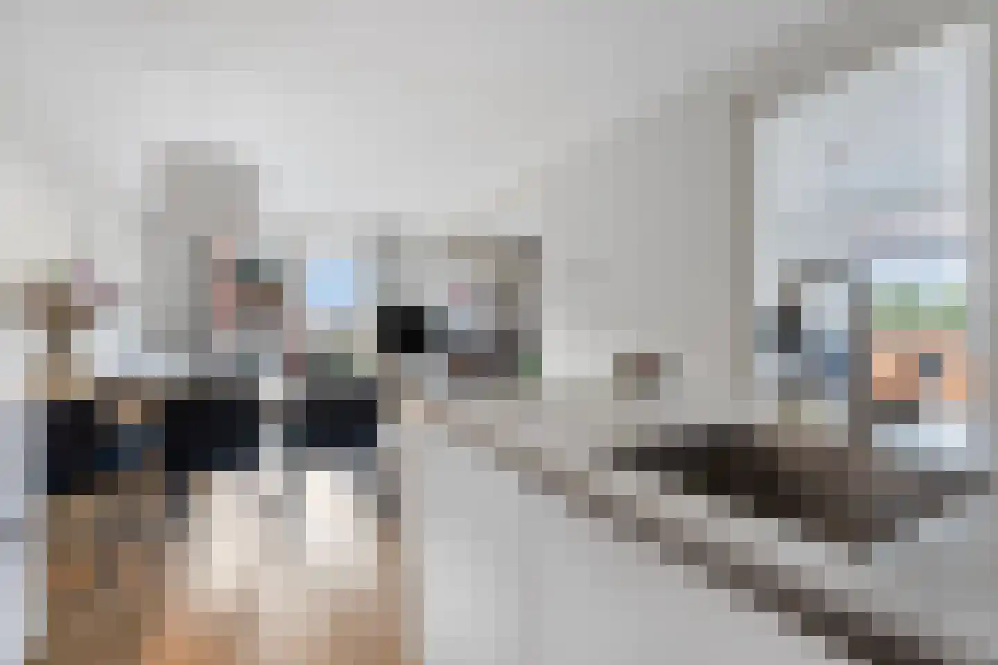 Theo Dobbestraat 15 Lent thumbnail 18
