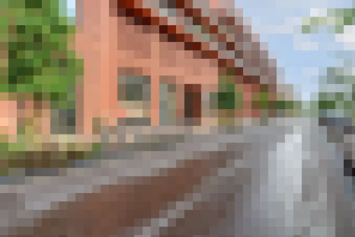 Theo Dobbestraat 15 Lent thumbnail 42