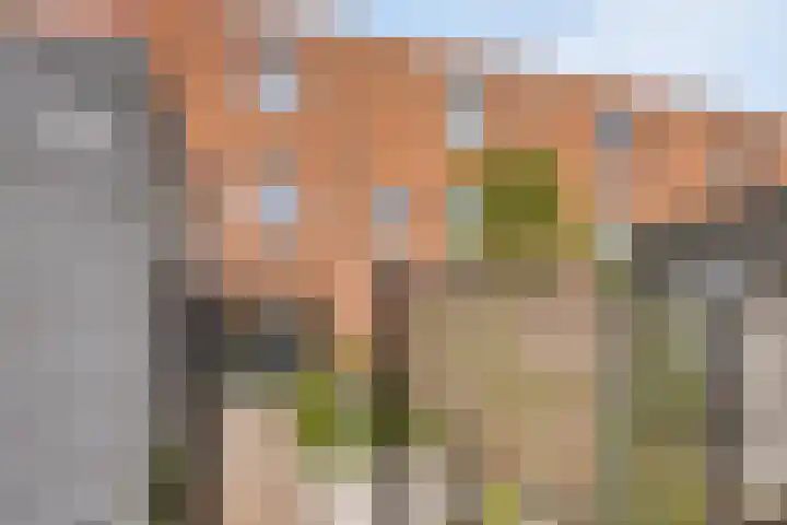 Theo Dobbestraat 187 Lent thumbnail 35