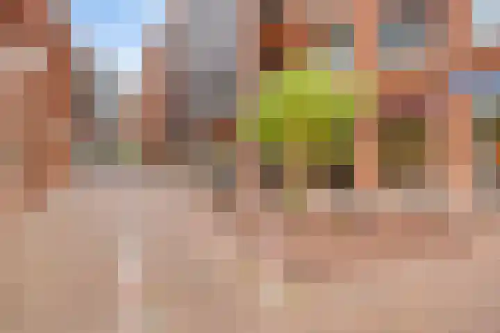 Theo Dobbestraat 187 Lent thumbnail 38