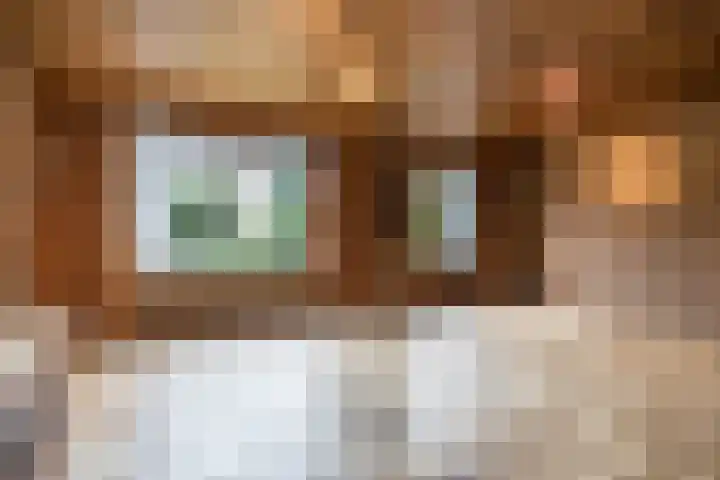Theo Dobbestraat 4 Best thumbnail 12