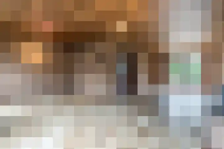 Theo Dobbestraat 4 Best thumbnail 14