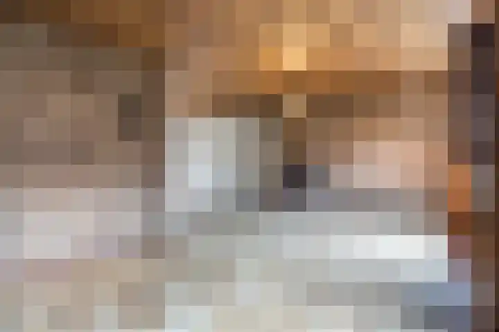 Theo Dobbestraat 4 Best thumbnail 15