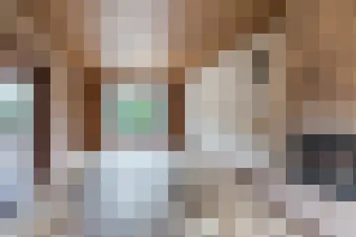 Theo Dobbestraat 4 Best thumbnail 17