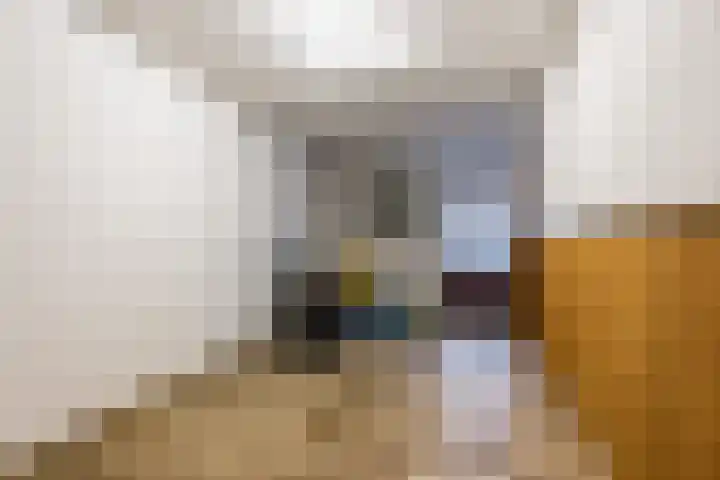 Theo Dobbestraat 4 Best thumbnail 23