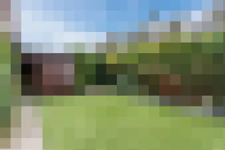 Theo Dobbestraat 4 Best thumbnail 45