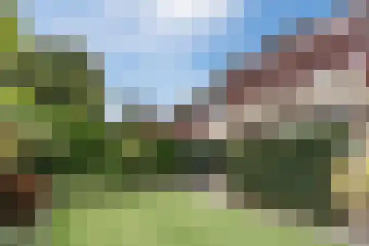 Theo Dobbestraat 4 Best thumbnail 5