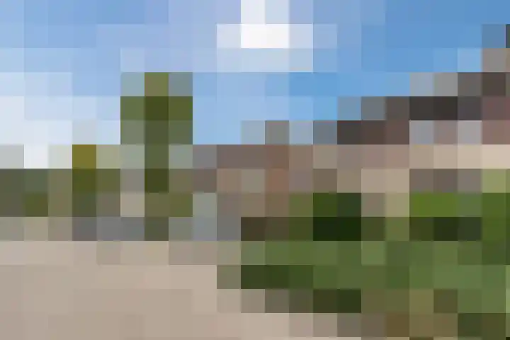 Theo Dobbestraat 4 Best thumbnail 8