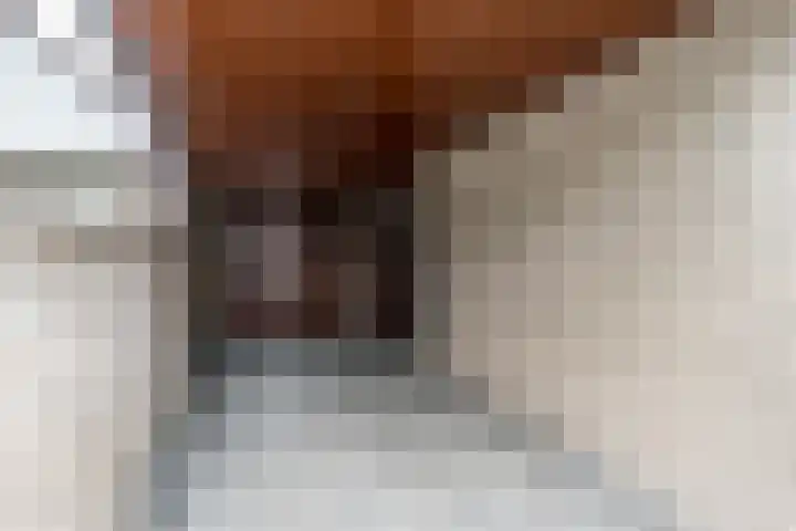 Theo Dobbestraat 4 Best thumbnail 9