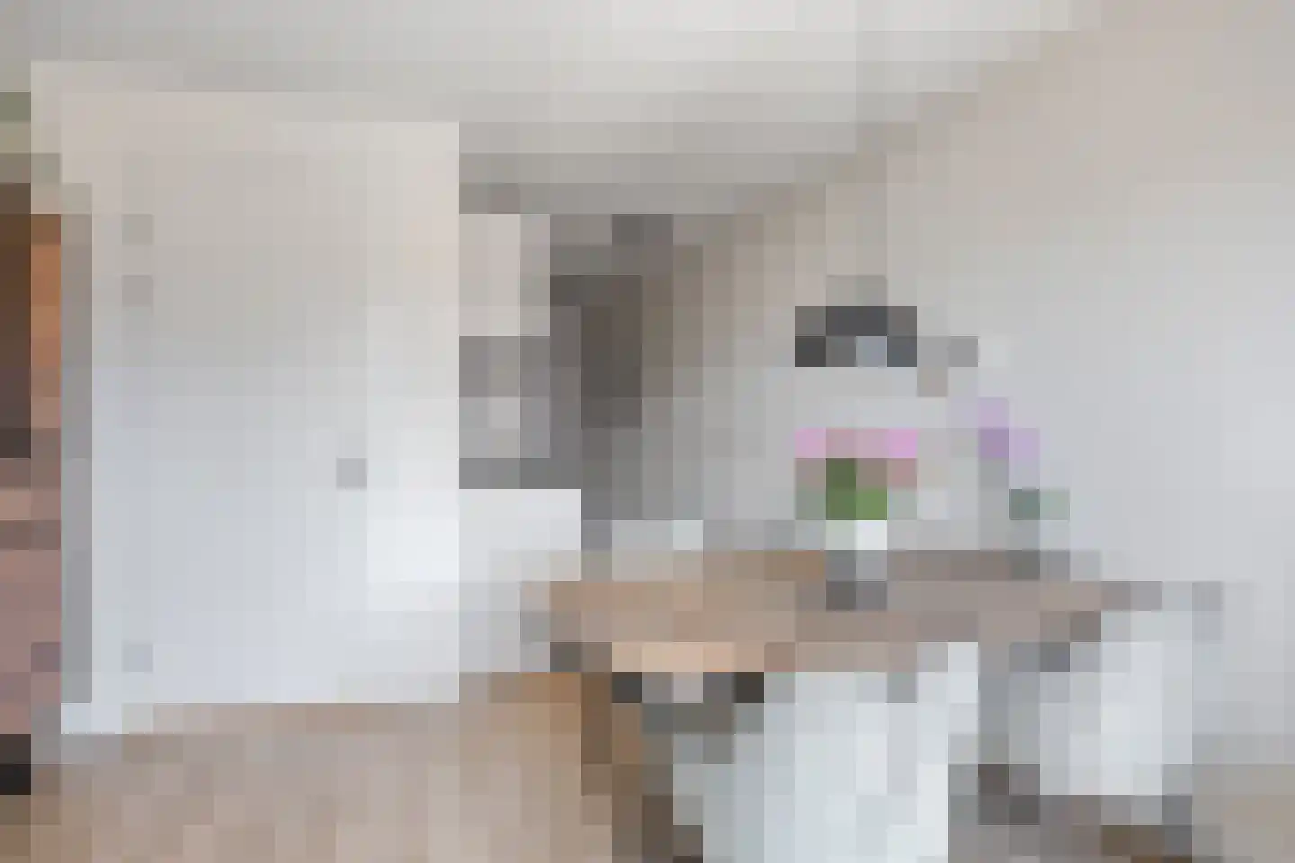 Theo Dobbestraat 41 Lent thumbnail 13