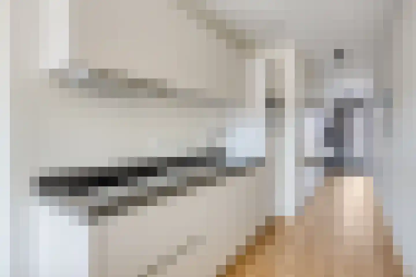 Theo Dobbestraat 41 Lent thumbnail 14