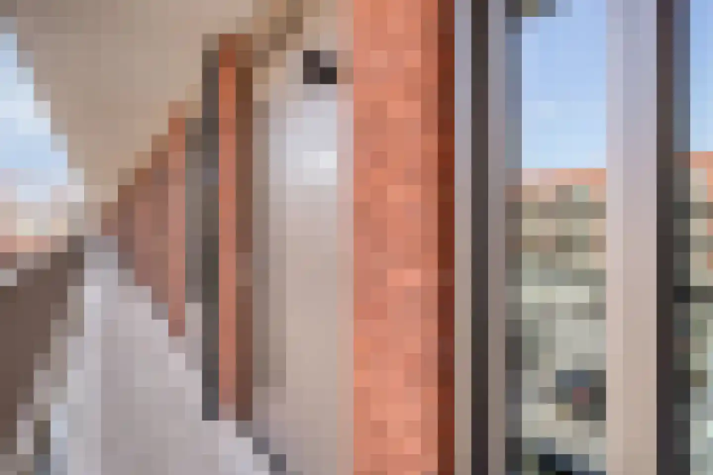 Theo Dobbestraat 41 Lent thumbnail 8