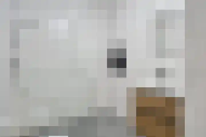 Theo Dobbestraat 43 Lent thumbnail 21