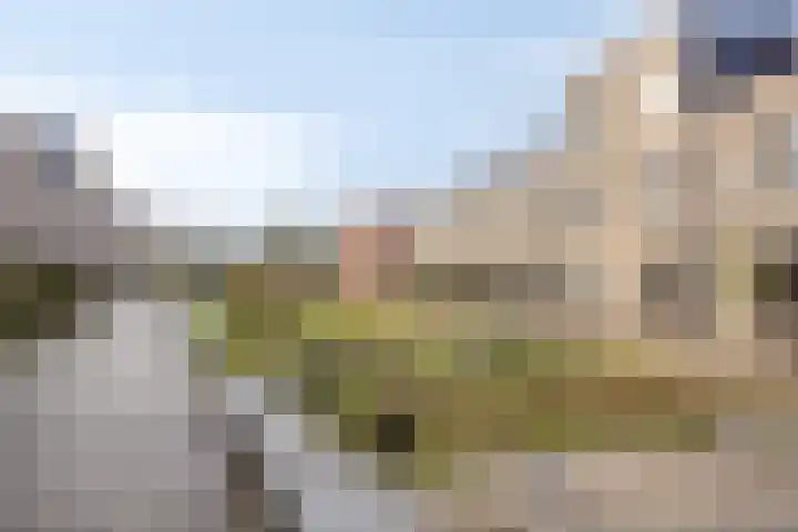 Theo Dobbestraat 43 Lent thumbnail 26