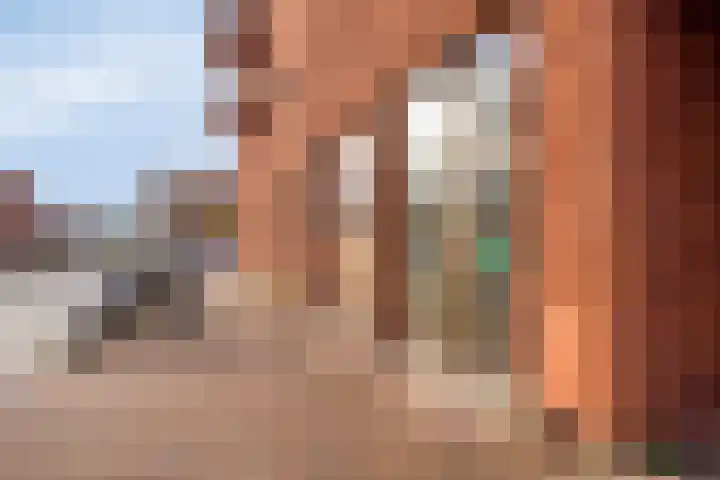 Theo Dobbestraat 43 Lent thumbnail 7