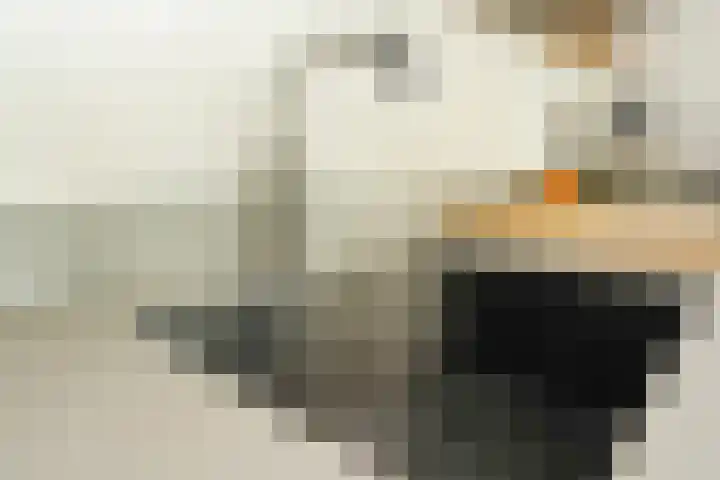 Theo Dobbestraat 55 Lent thumbnail 14