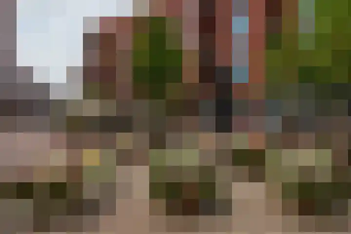 Theo Dobbestraat 55 Lent thumbnail 30