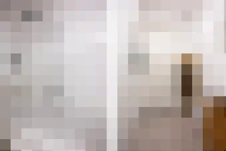 Theo Dobbestraat 7 Lent thumbnail 22