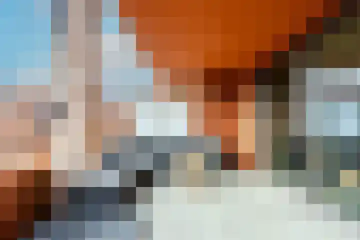 Theo Dobbestraat 7 Lent thumbnail 29