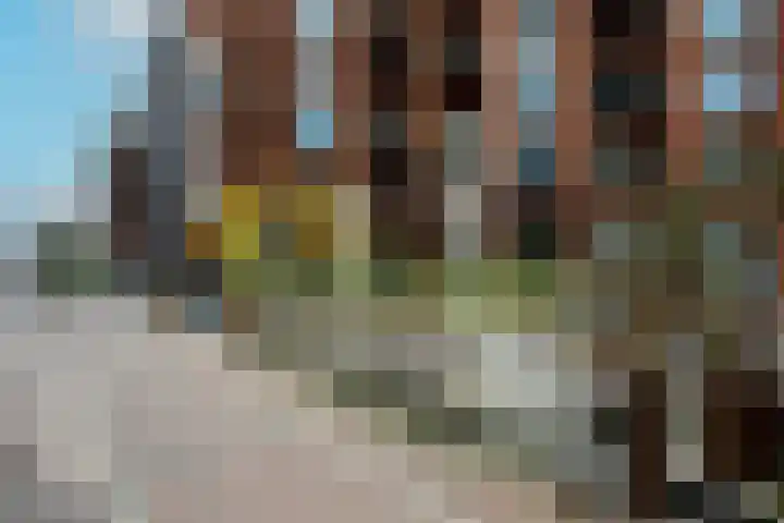 Theo Dobbestraat 7 Lent thumbnail 36