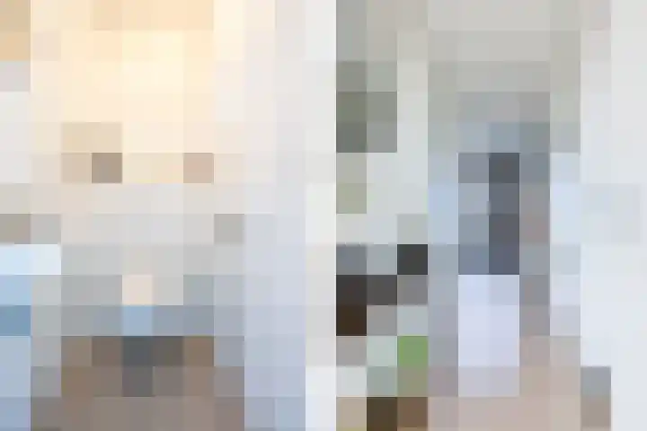 Theo Dobbestraat 7 Lent thumbnail 5