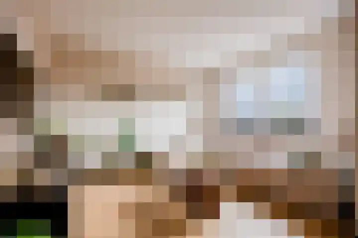 Theo Dobbestraat 7 Lent thumbnail 9