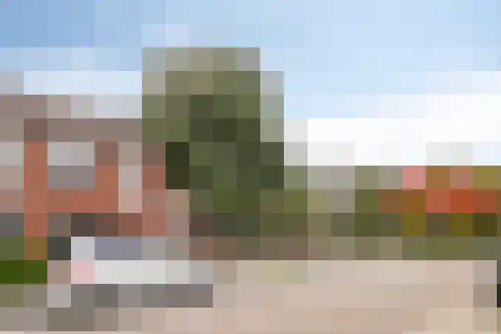 Theo Driessenhof 31 Helmond thumbnail 6