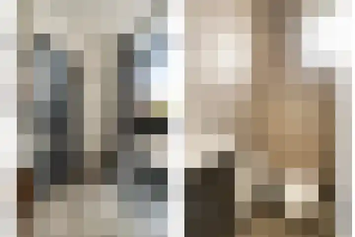Theo Driessenhof 31 Helmond thumbnail 8