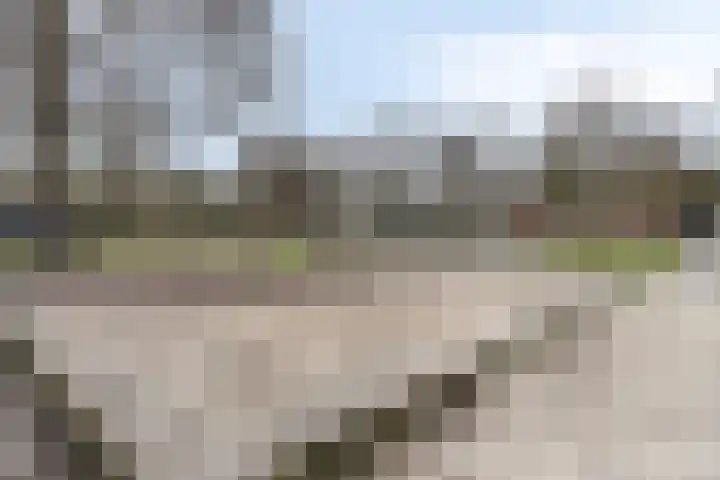 Theo Driessenhof 88 Helmond thumbnail 31