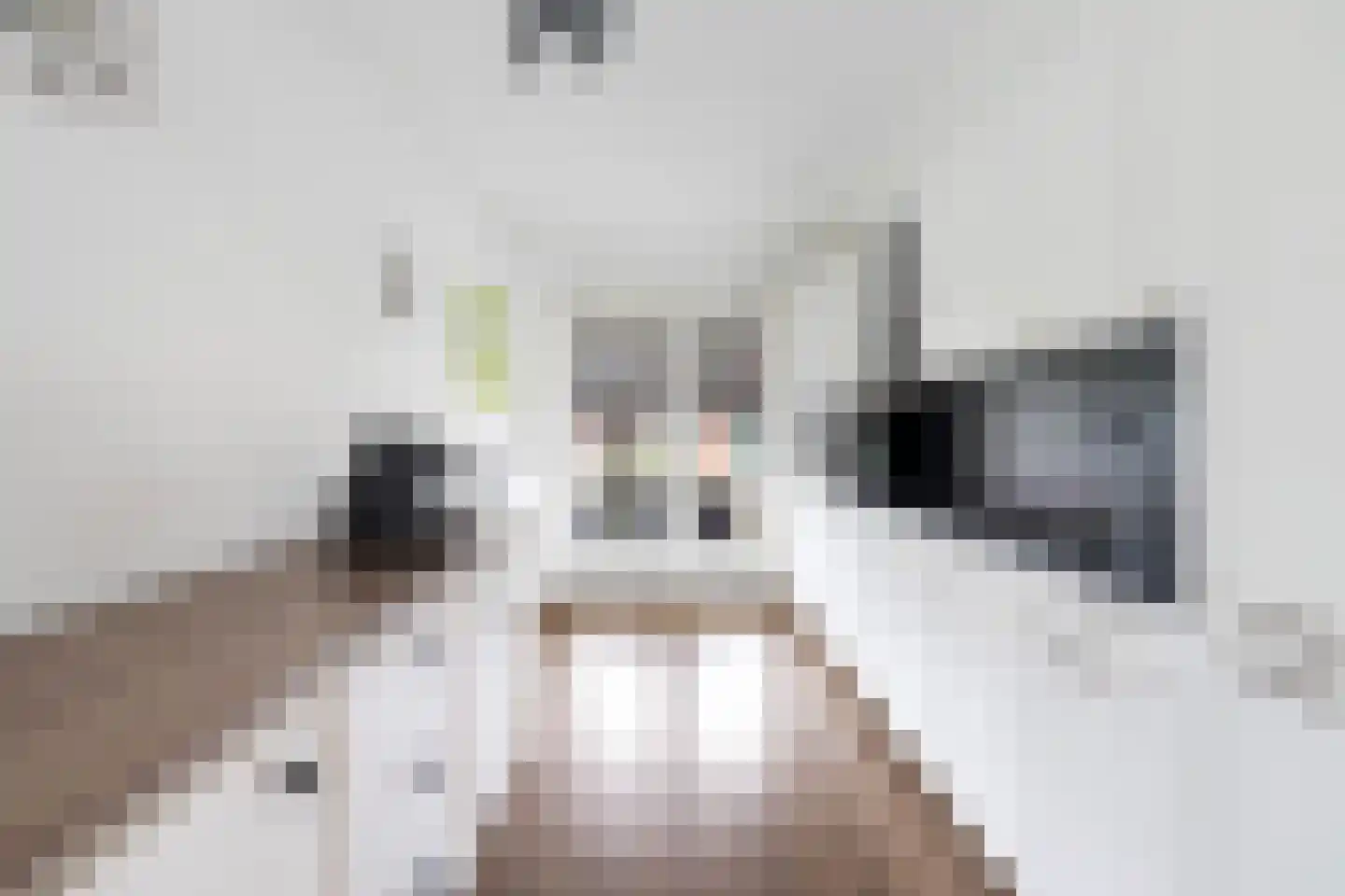 Theo Huizenaarpad 12 Rotterdam thumbnail 17