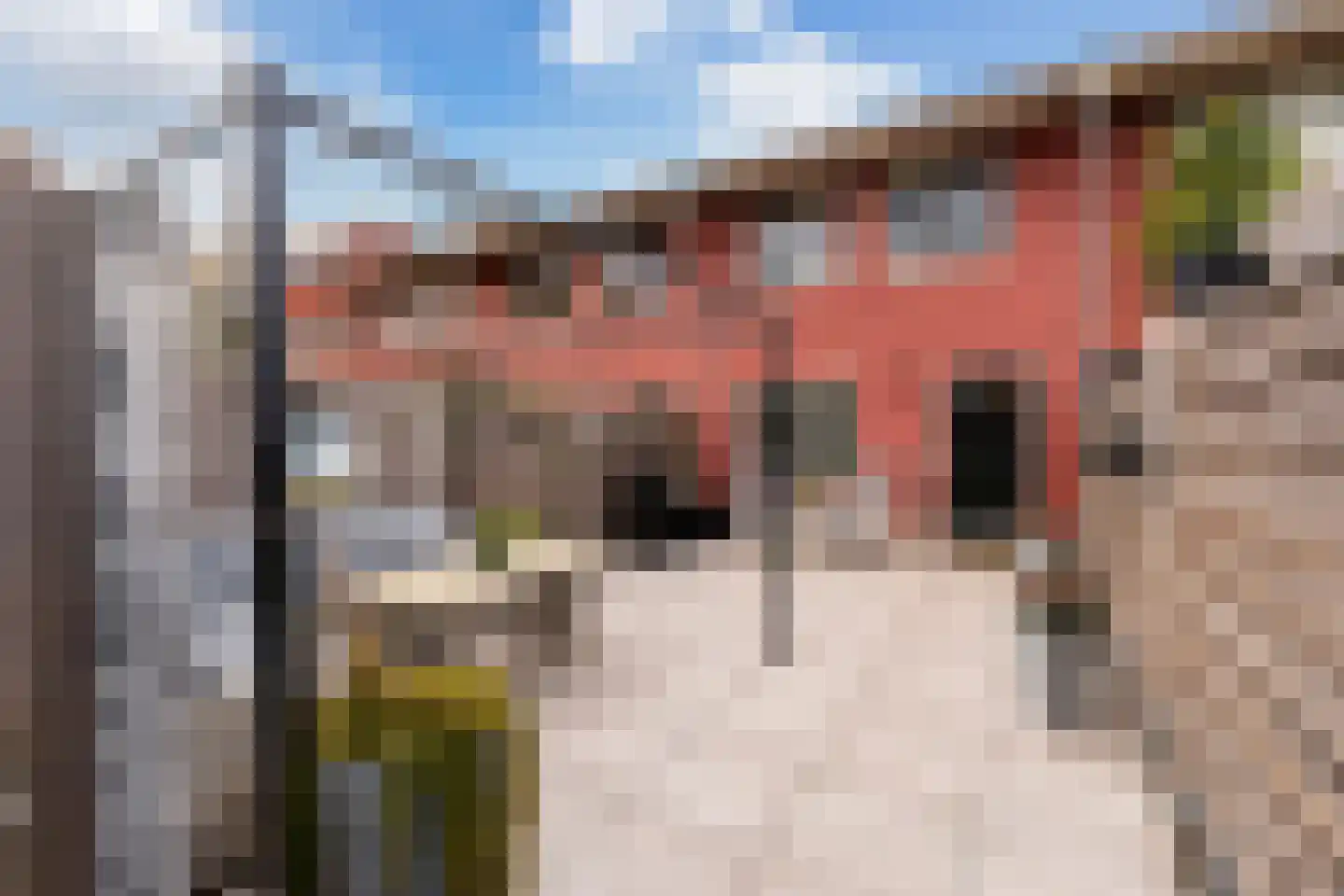 Theo Huizenaarpad 12 Rotterdam thumbnail 20