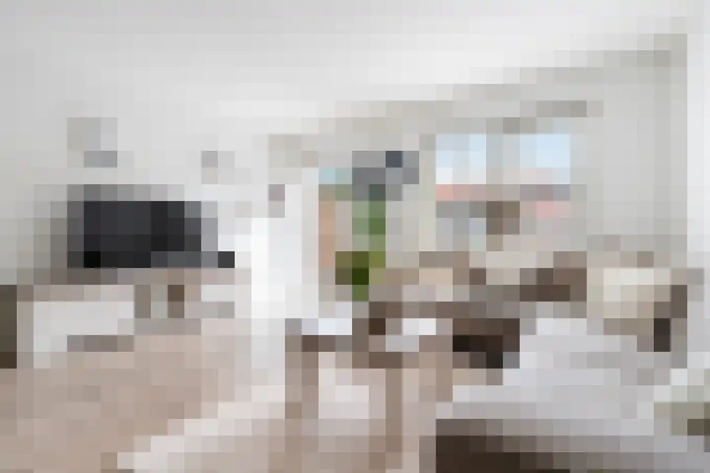 Theo Huizenaarpad 12 Rotterdam thumbnail 9
