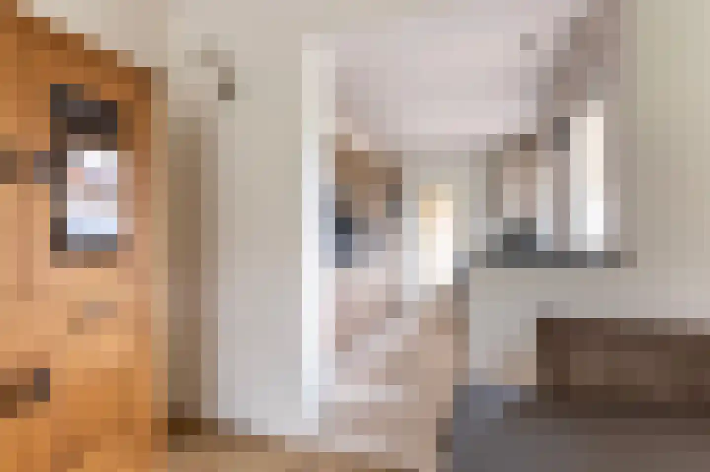 Theo Kleverstraat 2 Benschop thumbnail 17