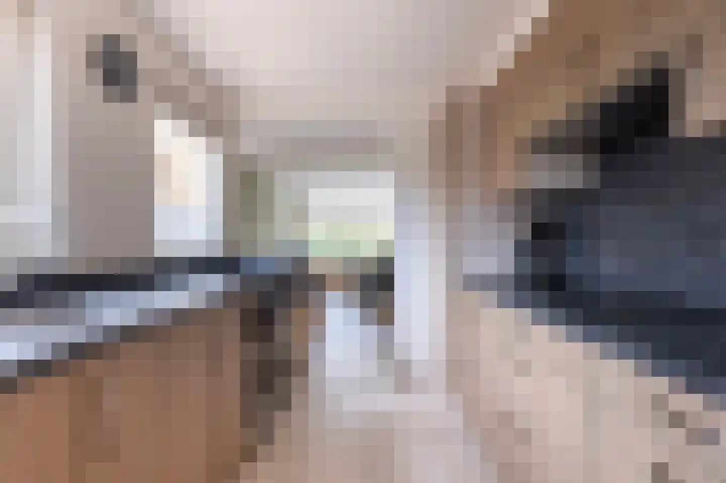 Theo Kleverstraat 2 Benschop thumbnail 27