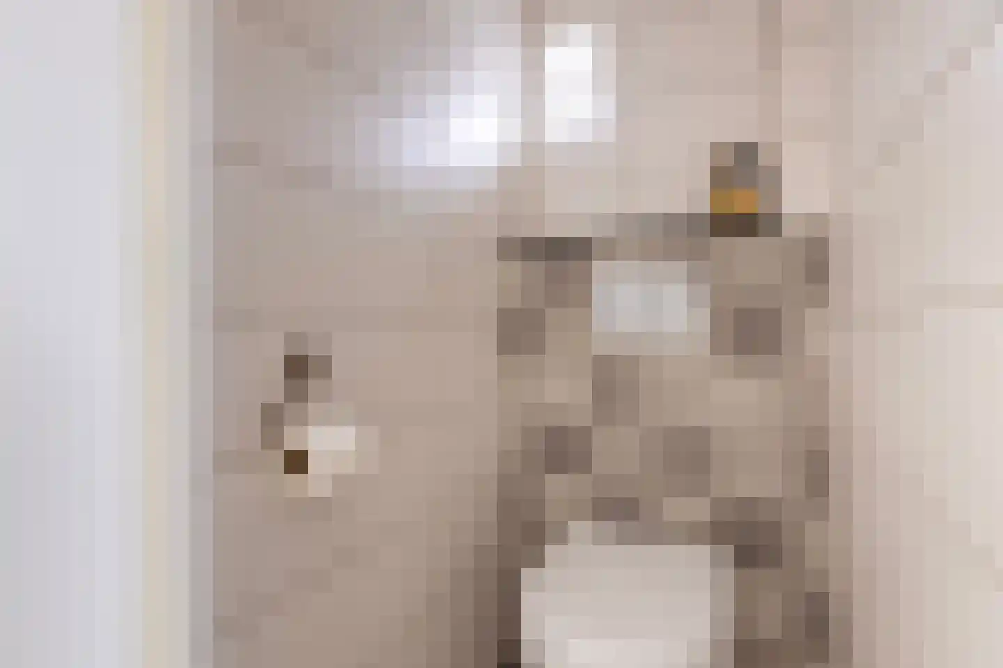 Theo Kleverstraat 2 Benschop thumbnail 31