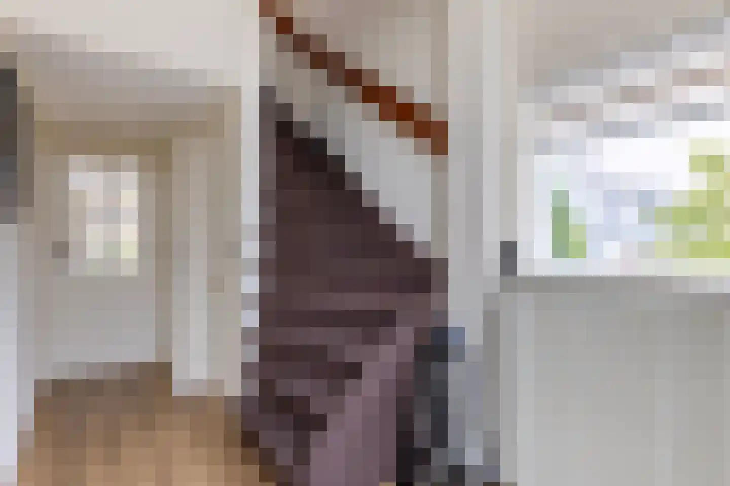 Theo Kleverstraat 2 Benschop thumbnail 33