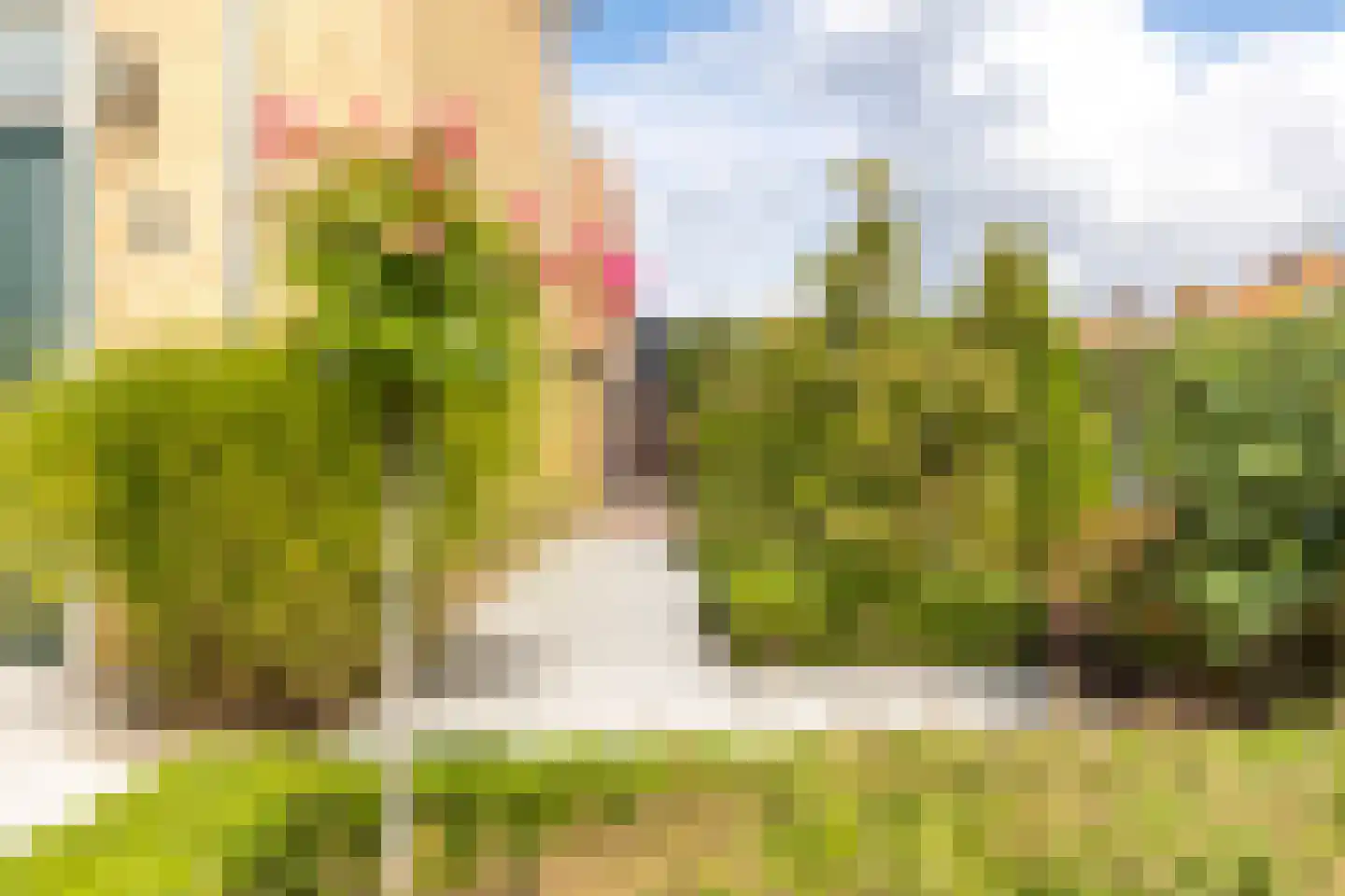 Theo Kleverstraat 2 Benschop thumbnail 64