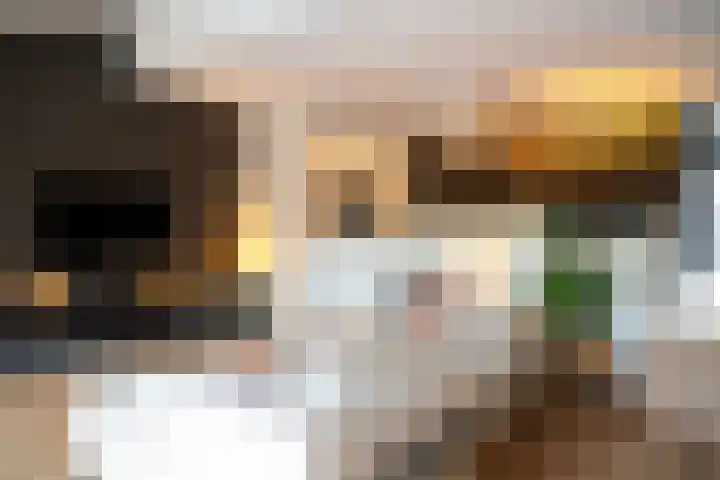 Theo Laseromsstraat 10 Rotterdam thumbnail 10