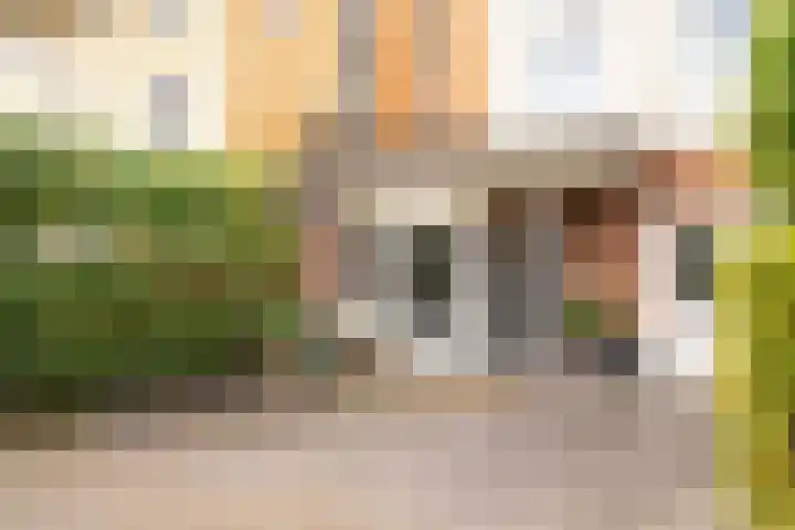 Theo Laseromsstraat 10 Rotterdam thumbnail 5