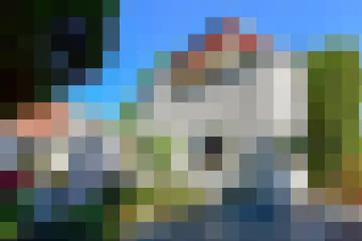 Theo Mann-Bouwmeesterhof 6 Amsterdam thumbnail 38