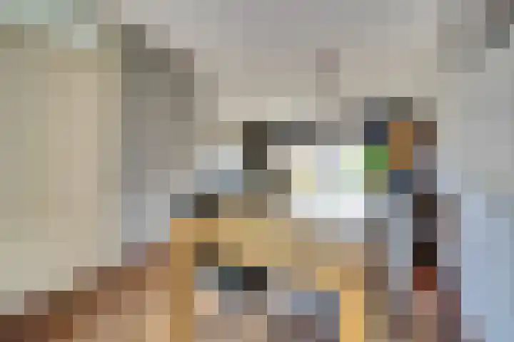 Theo Mann-Bouwmeesterstraat 150 Spijkenisse thumbnail 6